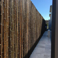 Sichtschutz aus Bambus in dunklem Farbton, der als Rollzaun gestaltet ist. Die Bambusstäbe sind dicht angeordnet und schaffen eine natürliche, blickdichte Barriere. Ideal für Gärten, Terrassen oder Außenbereiche, um Privatsphäre und ästhetischen Charme zu bieten.