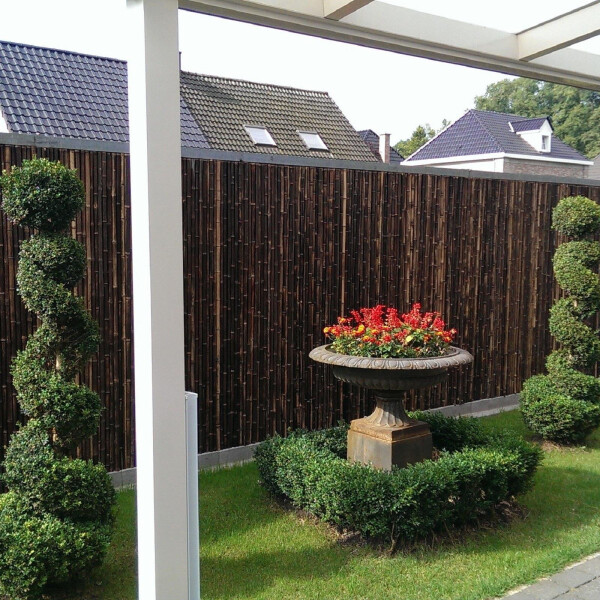 Sichtschutz aus Bambus in dunkler Farbe, der als Rollzaun BALI NIGRA in den Maßen 180 cm x 180 cm in einem gepflegten Garten angebracht ist. Der Zaun bietet Privatsphäre und fügt sich harmonisch in die grüne Umgebung ein.