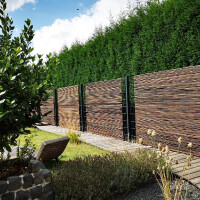 Sichtschutz aus Bambus in einem modernen Garten, der als Zaun dient. Der Rollzaun BALI NIGRA misst 180 cm x 180 cm und bietet natürliche Privatsphäre.