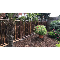 Bambuszaun aus dunklen, naturbelassenen Stäben, der als Sichtschutz in einem Garten dient. Die kräftigen Bambusstäbe sind dicht aneinandergereiht und bieten eine robuste, dekorative Abgrenzung. Der Zaun verleiht dem Garten eine natürliche, tropische Atmosphäre.