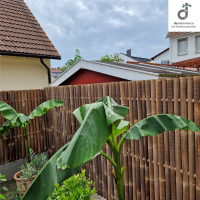 Zaun aus dunklem Bambus im Garten, der einen gepflegten Teich und eine Palme umgibt. Die großen, dicht beieinanderstehenden Bambusstäbe bieten eine natürliche und moderne Sichtschutzlösung.