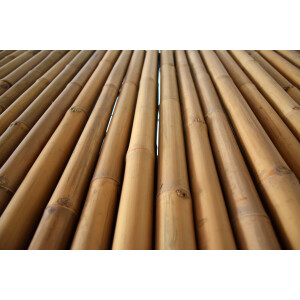 Bambus Pflege&ouml;l Bamboo CARE f&uuml;r Bambus Zaun Bamboo Pflege &Ouml;l