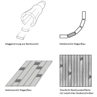 Stegewinnung aus Bambusrohr zeigt einen Querschnitt des Rohrs mit eingesetzten Stegen. Detailansicht Stegaufbau präsentiert eine Nahaufnahme der Stege in einer Kurve. Seitenansicht Stegaufbau zeigt die flache, längliche Form der Stege. Draufsicht auf die Bambusoberfläche mit natürlichen Nodienschnitten hebt die charakteristischen, dunklen Knoten des Bambus hervor.