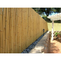 Hochwertiger Garten Zaun Sichtschutz Bambus ATY NATURE von DE-COmmerce® I Garten, Terrasse, Balkon Sichtschutz Bambus mit geschlossenen Rohren I Windschutz Bambus