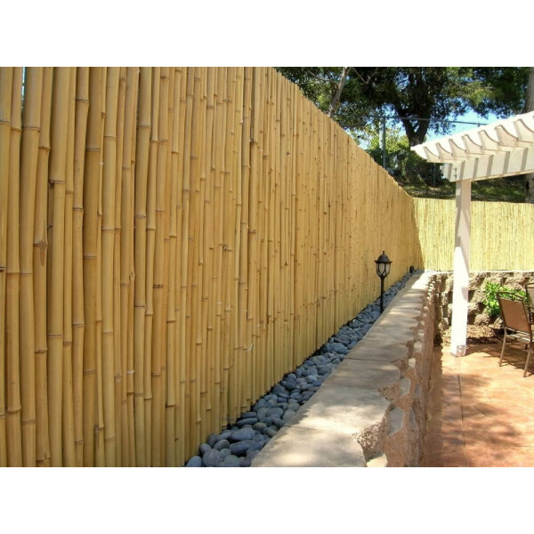 Bambus Sichtschutz Rollzaun ATY NATURE für Garten, Terrasse, Balkon, oben geschlossene Rohre (HxB) 180 cm x 180 cm