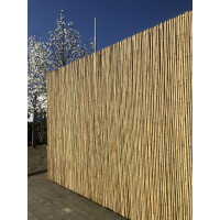 Sichtschutz aus Bambus, Modell ATY NATURE, mit einer Höhe und Breite von jeweils 180 cm. Der Zaun besteht aus dicht angeordneten Bambusstäben, die eine natürliche und dekorative Abgrenzung bieten. Ideal für Gärten oder Terrassen, um Privatsphäre zu schaffen und gleichzeitig ein ästhetisches Ambiente zu bewahren.
