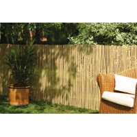 Sichtschutzzaun aus Bambus im Garten, der eine natürliche, dekorative Trennung bietet. Die vertikalen Bambusstäbe sind gleichmäßig angeordnet und schaffen eine harmonische, grüne Atmosphäre. Ideal für eine stilvolle Privatsphäre im Außenbereich.