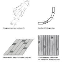 Bambusrohr mit detaillierter Stegverbindung. Seitenansicht der Stegstruktur ohne Bordüre. Draufsicht der Bambusoberfläche mit natürlichen Nodienschnitten, die ein elegantes und natürliches Muster erzeugen.