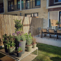 Bambus-Sichtschutzzaun in natürlichem Design, der eine gemütliche Sitzecke mit Tisch und Stühlen abgrenzt. Der Rollzaun CALAMA, 200 cm hoch und 500 cm breit, schafft eine privatere Atmosphäre auf der Terrasse und wird von Pflanzen in Töpfen begleitet.