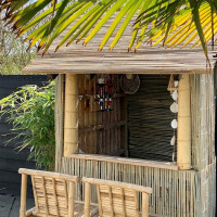 Sichtschutz aus Bambus mit Naturoptik, bestehend aus eng aneinandergereihten Bambusstäben, die Privatsphäre und Schutz bieten. Ideal für Gärten, Terrassen oder Outdoor-Bereiche, um eine tropische Atmosphäre zu schaffen. Die Maße betragen 120 cm Höhe und 500 cm Breite.