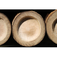 Drei Bambusstangen in Querschnittsansicht, die die natürliche Struktur und Textur des Bambus zeigen. Ideal für die Herstellung eines stabilen und ästhetischen Sichtschutzes wie dem Zaunelement XXL NIGRA.