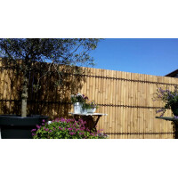 Natürlicher Bambuszaun, der als Sichtschutz dient, mit schlanken, vertikal angeordneten Stäben. Der Zaun verleiht dem Garten einen modernen und natürlichen Look und ist in verschiedenen Größen erhältlich.