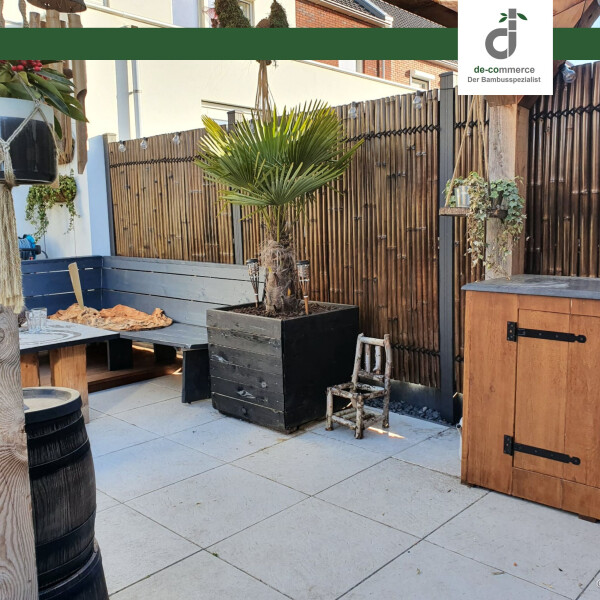 bambus haus pflanze Bambus für den Balkon kaufen – Green Me Up main image 1