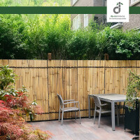 Terrasse mit hellem Kisu Bambuszaun („Nature“), Tisch und Stühle für zwei Personen, dichte grüne Hecke dahinter, entspannte Gartenszenerie.