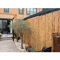 Sichtschutz aus Bambus in dunklem Farbton, der als Rollzaun gestaltet ist. Die Bambusstäbe sind dicht angeordnet und schaffen eine natürliche, blickdichte Barriere. Ideal für Gärten, Terrassen oder Außenbereiche, um Privatsphäre und ästhetischen Charme zu bieten.