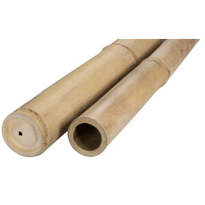 Bambuspfosten NATUR Bambusrohr Bambusstangen f&uuml;r Sichtschutz Zaun Montage Bambus Dekoration Rohr aus Bambus