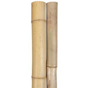Bambuspfosten NATUR Bambusrohr Bambusstangen f&uuml;r Sichtschutz Zaun Montage Bambus Dekoration Rohr aus Bambus
