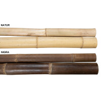 Zwei helle Bambuspfosten in Naturfarbe mit sichtbaren Nodien, jeweils etwa 100 cm lang und mit einem Durchmesser von 6-8 cm.