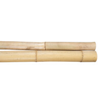 Zwei lange, naturbelassene Bambuspfosten mit einer Länge von 120 cm und einem Durchmesser zwischen 8 und 10 cm, die nebeneinander liegen. Die Oberfläche der Pfosten ist glatt und zeigt die natürliche Maserung des Bambus.