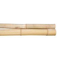 Zwei lange, naturbelassene Bambuspfosten mit glatter Oberfläche und sichtbaren Knoten, ideal für Dekoration oder Bauprojekte.