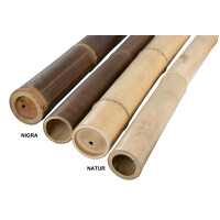Natürliche Bambuspfosten in zwei Farbvarianten: NIGRA und NATUR. Die Pfosten sind 200 cm lang mit einem Durchmesser von 6-8 cm. Ideal für Dekoration, Bauprojekte oder Gartenanwendungen.