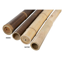 Dunkelbrauner Bambuspfosten der Sorte Nigra mit einer Länge von 90 cm und einem Durchmesser von 6-8 cm, gezeigt neben einem helleren Naturbambuspfosten.