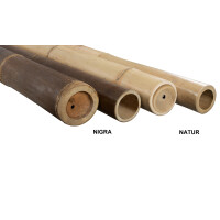 Dunkler Bambuspfosten NIGRA mit einer Länge von 120 cm und einem Durchmesser von 6-8 cm, gezeigt neben einem hellen Bambuspfosten.