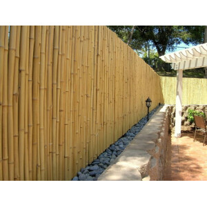 Natürlich aussehender Bambus-Sichtschutzzaun, der als Rollzaun an einer Mauer montiert ist und eine Höhe von 100 cm sowie eine Breite von 180 cm aufweist, sorgt für Privatsphäre und natürliches Ambiente im Garten.