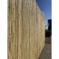 Sichtschutz aus Bambusstäben, die dicht aneinandergereiht sind, bietet eine natürliche und moderne Barriere. Der Zaun ist 150 cm hoch und 180 cm breit, ideal für die Abgrenzung von Gärten oder Terrassen. Die Bambusstäbe sind gleichmäßig geschnitten und erzeugen eine harmonische, optisch ansprechende Struktur.