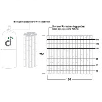 Bambus-Sichtschutz als Rollzaun DELUXE, der als natürliche, dekorative Begrenzung in einem gepflegten Garten mit asiatischem Stil dient. Der Zaun bietet Privatsphäre und eine ästhetische Kulisse für Pflanzen und Gartendekorationen.
