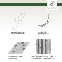Illustration zur Herstellung von Bambusparkett, zeigt die Gewinnung aus einem Bambusrohr, die Detailansicht der St�be und die Seitenansicht ohne Bord�re sowie die Oberfl�che mit nat�rlichen Nodienschntte