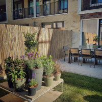 Sichtschutz aus Bambus, der als Rollzaun CALAMA in den Maßen 100 cm x 300 cm eine Terrasse mit Outdoor-Möbeln und Pflanzen abtrennt. Die natürliche Optik des Bambus sorgt für Privatsphäre und eine ästhetische Gestaltung des Außenbereichs.