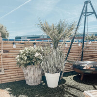 Bambus-Sichtschutzzaun mit natürlichem Look, der einen Gartenbereich abgrenzt. Der Zaun ist aus vertikal angeordneten Bambusstäben gefertigt und hat eine Höhe von 150 cm sowie eine Breite von 180 cm. Die natürliche Optik sorgt für eine dekorative und zugleich funktionale Abtrennung im Außenbereich.