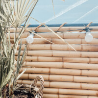 Bambussichtschutz mit dekorativen Lichterketten und Pflanzen, ideal für Garten oder Terrasse, bietet natürliche Privatsphäre und stilvolle Abgrenzung.