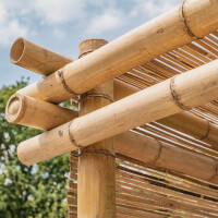 Stabile Bambus-Pergola mit geraden, hellen Bambusstangen, die ein robustes, offenes Dach bilden. Die Konstruktion bietet Schatten und eine natürliche Ästhetik für den Garten. Ideal für entspannte Stunden im Freien.