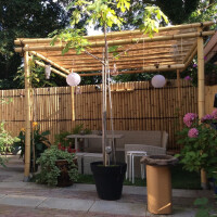 Bambus Pergola NATURE mit Maßen 400x300x300 cm in einem Garten, dekoriert mit Hängeleuchten und Pflanzen, bietet einen natürlichen Schattenplatz.