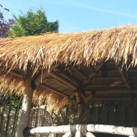 Strohdach aus natürlichen Blättern, das auf einer Pergola aus Bambusstangen montiert ist. Das Dach bietet Schatten und eine tropische Atmosphäre, ideal für Garten oder Terrasse. Die Maße des Strohdachs betragen 200 x 70 cm.