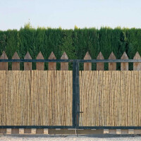 Natürlicher Bambuszaun mit hoher Stabilität, ideal für den Garten oder als Sichtschutz, mit robustem Metallrahmen und spitzen Zaunpfählen, die zusätzliche Sicherheit bieten.
