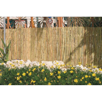 Natürlicher Bambus-Sichtschutzzaun mit gleichmäßigen, vertikalen Stäben, ideal für Gartenprivatsphäre. Maße: 50 x 500 cm. Kombiniert mit dekorativen Steinen und gelben Blumen im Vordergrund.