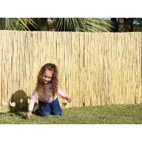 Sichtschutz aus Bambus – ein stabiler Rollzaun in Naturfarbe, der eine Höhe von 50 cm und eine Breite von 500 cm hat, ideal für Gartenabgrenzungen und Privatsphäre.