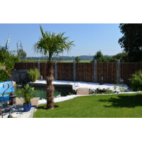 Sichtschutz aus Bambus Garten Zaun Bambuszaun Garten Zaunelement XXL NIGRA (BxH) 90 cm x 240 cm