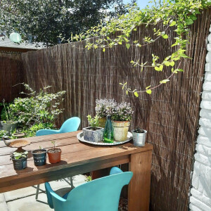 Gepflegte Terrasse mit einem Holztisch, umgeben von grünen Pflanzen und türkisen Stühlen; dekorativ gestaltet mit kleinen Accessoires. Im Hintergrund sorgt eine natürliche Sichtschutzmatte aus geflochtenen Weiden für Privatsphäre.