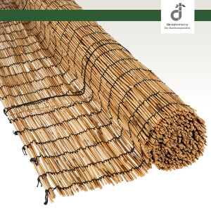 Sonnendurchflutetes Fenster mit heller, heruntergelassener Schilfjalousie. Auf der hölzernen Fensterbank fällt warmes, gefiltertes Licht ein, daneben steht eine Vase mit getrocknetem Pampasgras in einem gemütlichen Raum.