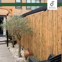 Moderner Garten mit hohem Bambus-Windschutzzaun, zwei Olivenbäumen in einem weißen Kiesbeet, Holzterrasse und dekorativer Keramikvase vor einem modernen Wohnhaus.