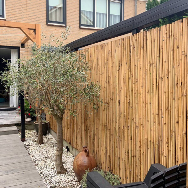 Moderner Garten mit hohem Bambus-Windschutzzaun, zwei Olivenbäumen in einem weißen Kiesbeet, Holzterrasse und dekorativer Keramikvase vor einem modernen Wohnhaus.