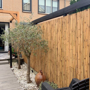 Moderner Garten mit hohem Bambus-Windschutzzaun, zwei Olivenbäumen in einem weißen Kiesbeet, Holzterrasse und dekorativer Keramikvase vor einem modernen Wohnhaus.