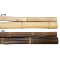 Bambuspfosten in natürlicher Farbe, 235 cm lang, mit einem Durchmesser von 8-10 cm. Die Oberfläche ist glatt und zeigt die natürliche Maserung des Bambus.